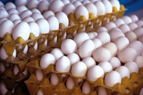احتمال افزایش قیمت تخم مرغ، ممنوعیت صادرات کالاهای اساسی