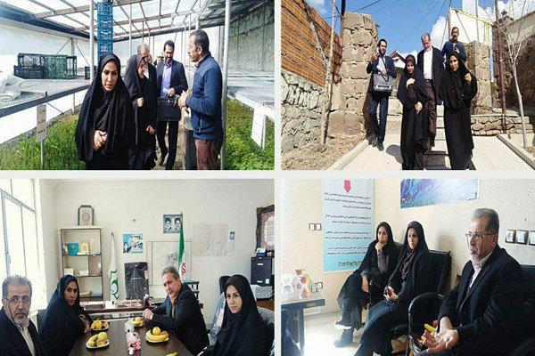 اجرای 40 برنامه جامع در روستاهای استان تهران طی سال 98
