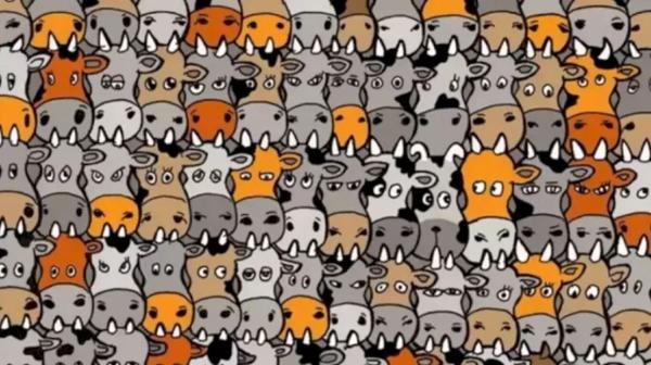 تست چالش برانگیز هوش؛ آیا می توانید سگ پنهان در میان گاو ها را در 4 ثانیه پیدا کنید؟